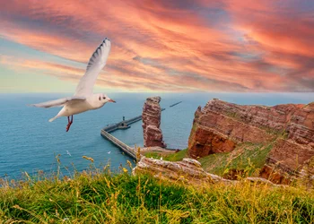 Altes Land & Helgoland