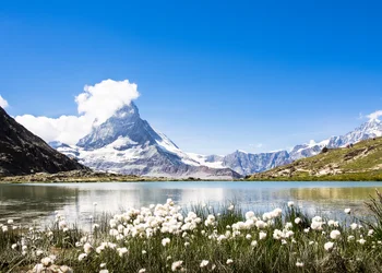 Original Bernina- und Glacier Express - Gesamtstrecke
